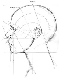 Drawing Skulls Proportions How to Draw Neck Muscles form Constructive Head Pinterest