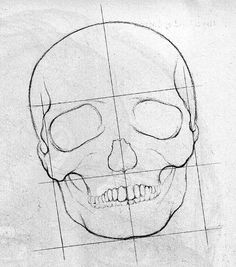 Drawing Skulls Step by Step 184 Best Drawing Human Humanoid Images Drawing Tutorials Figure