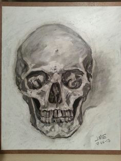 Drawing Skulls with Charcoal 94 Best Charcoal Skeleton Images Bones Human Skeleton Skeleton