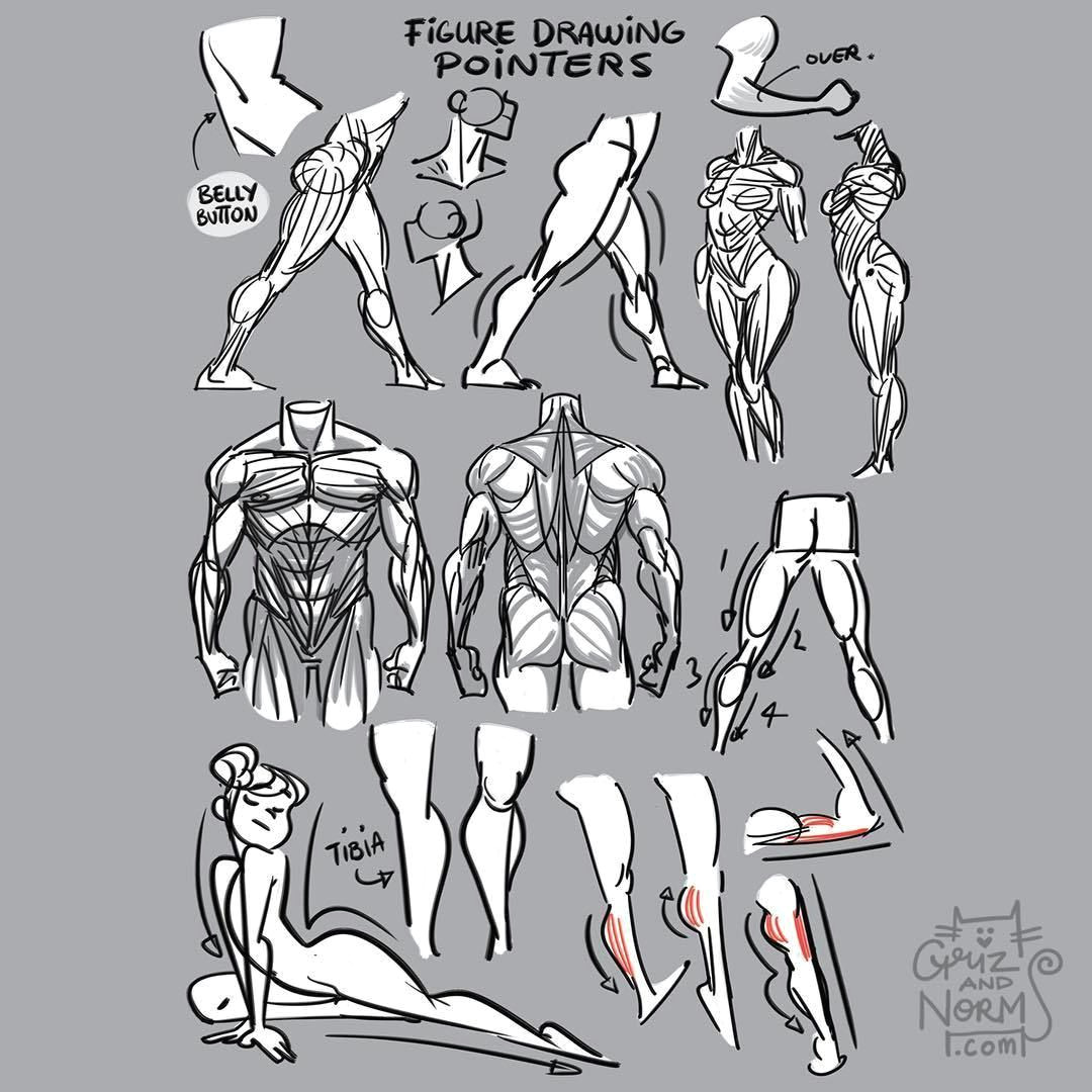 Drawing Small Things Big Tuesday Tips Figure Drawing Pointers A Few Things I Keep In Mind