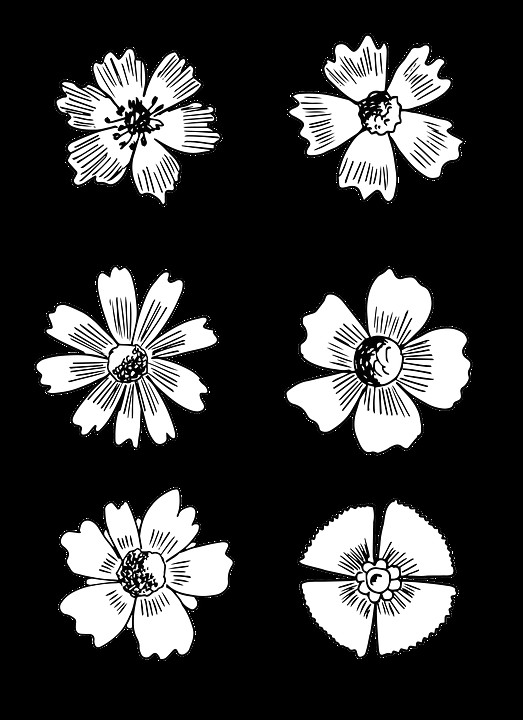 Drawing Stencil Flowers Related Image Drawing Journal Flowers Drawings