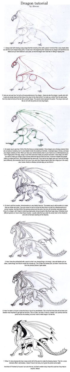 Drawing Steps for Dragons 85 Best Drawing Dragons Tutorials Images Drawings Sketches Dragons