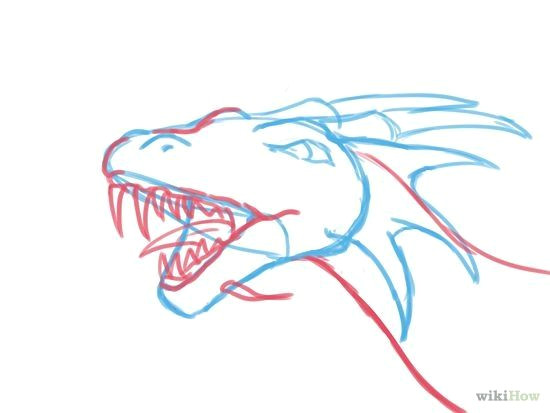 Drawing Steps for Dragons Draw A Dragon Head Thing I Want to Draw Pinterest Drawings