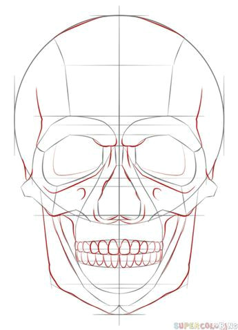 Drawing Sugar Skulls Tutorial How to Draw A Human Skull Step by Step Drawing Tutorials for Kids