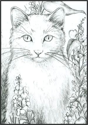 Drawing the Face Of A Cat Loki In the Garden Kolorowanki Antystresowe Pinterest Cat
