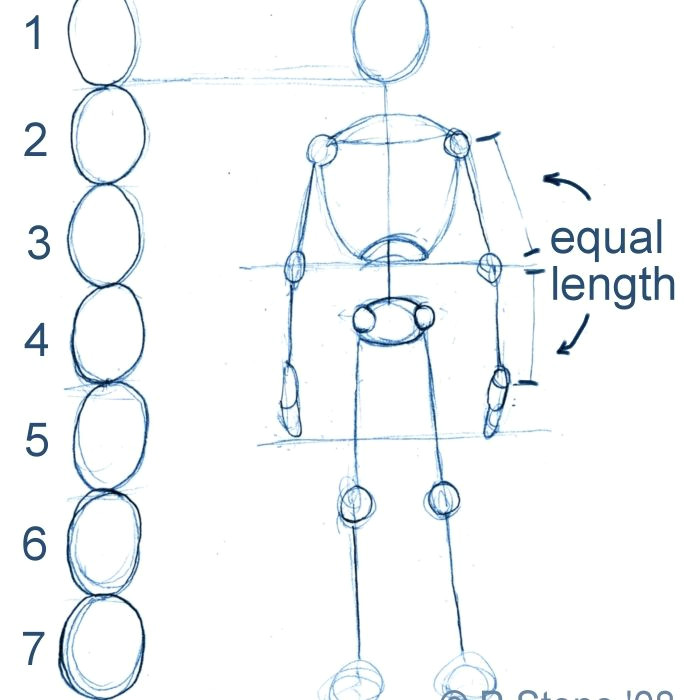 Drawing Things for Beginners How to Draw A Basic Manga Character Body Proportions