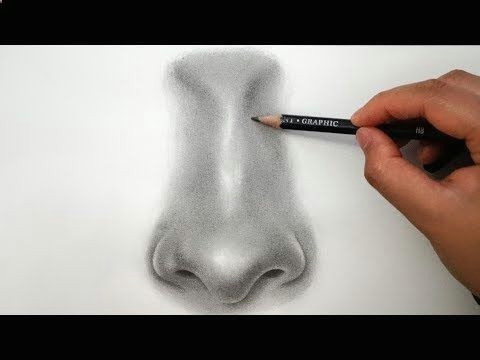 Drawing Things with Shapes Delineate Your Lips How to Draw A Nose From the Front 7 Easy Steps