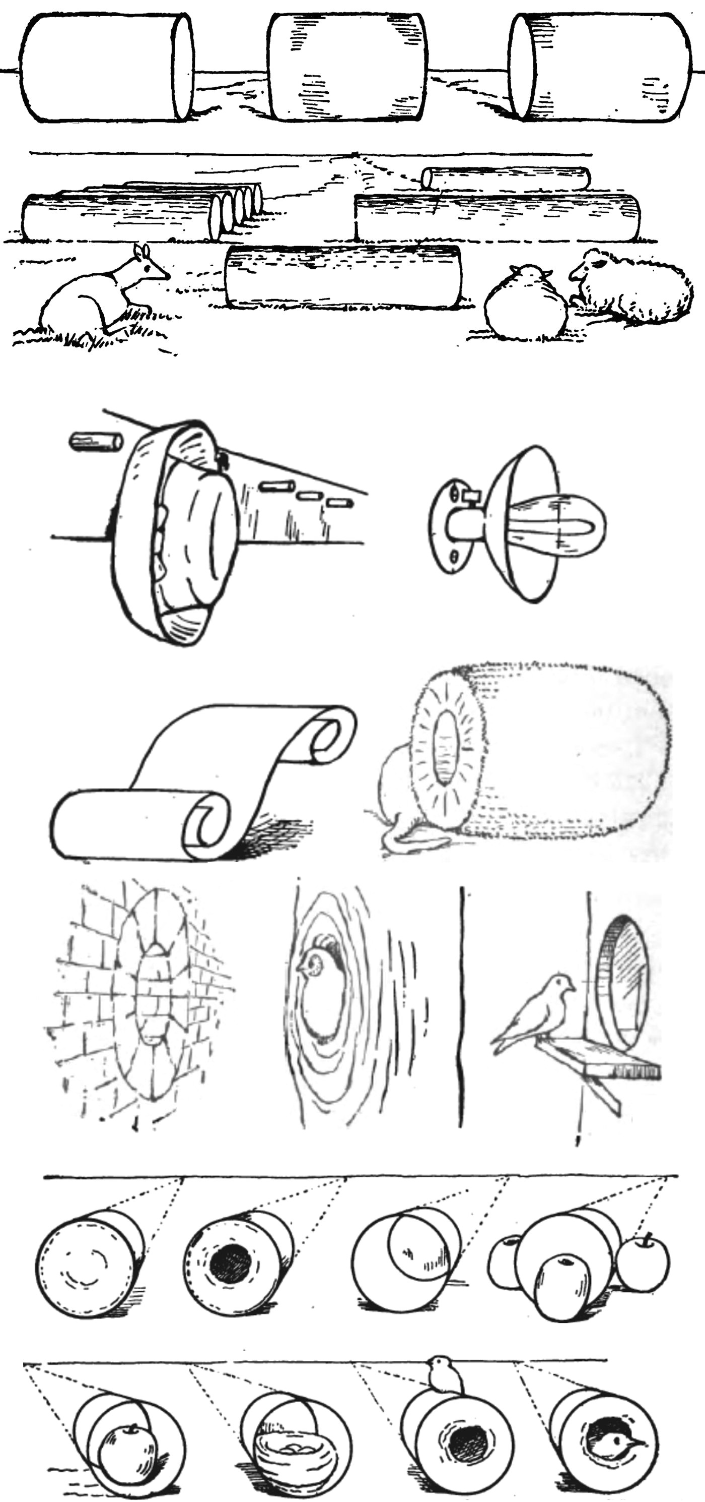 Drawing Things with Shapes How to Draw What You See by Drawing Basic Shapes First Easy Way to