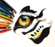 Drawing Tiger Eyes 10 Best Tiger Eye S Images Tiger Drawing Eyes Drawings Of Tigers