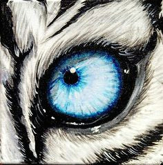 Drawing Tiger Eyes 10 Best Tiger Eye S Images Tiger Drawing Eyes Drawings Of Tigers