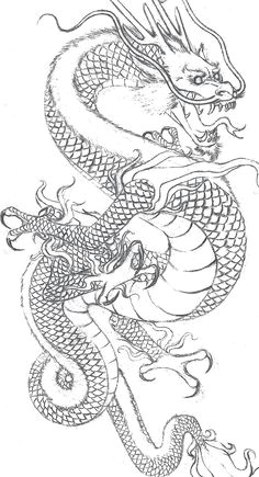 Drawing Traditional Dragons 997 Best asian Dragons Images In 2019 Japanese Tattoos Japanese