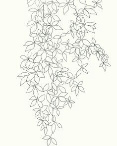 Drawing Tree Motifs Flowers Creepers 766 Best Botanicals Images On Pinterest Botanical Drawings