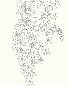 Drawing Tree Motifs Flowers Creepers 766 Best Botanicals Images On Pinterest Botanical Drawings