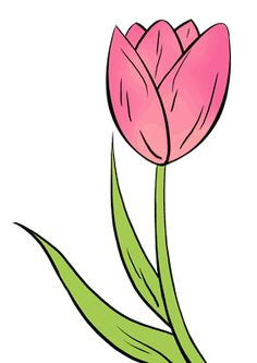 Drawing Tulips Flowers 231 Best Easy Drawings Images Easy Drawings Simple Drawings