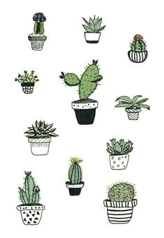 Drawing Tumblr Cactus 14 Best Cactus Lockscreens Images Backgrounds Wallpaper