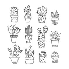 Drawing Tumblr Cactus 47 Best Cactus Drawing Images Paintings Cactus Drawing Doodles