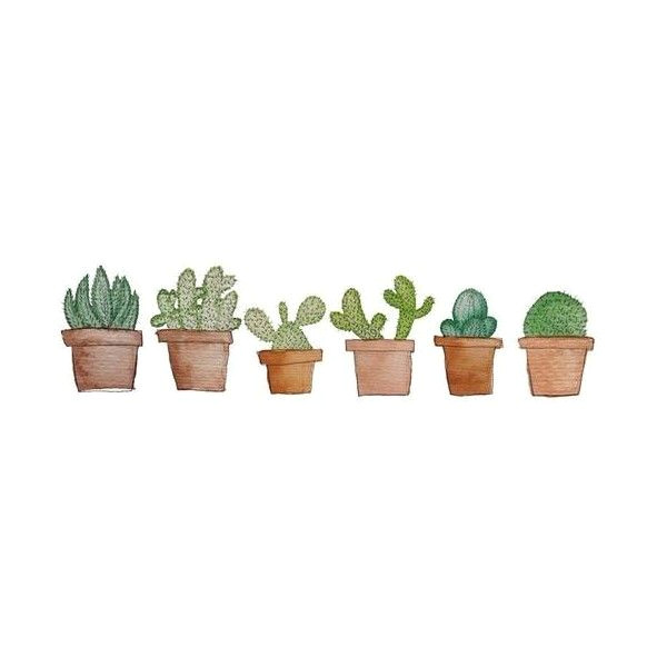Drawing Tumblr Cactus Gallery for Cactus Tumblr Transparent A Liked On Polyvore