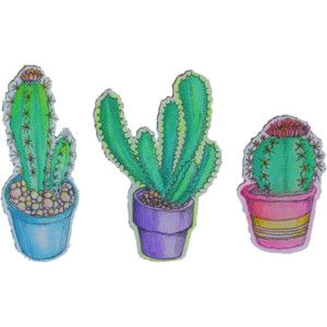 Drawing Tumblr Cactus Plants Cactus Transparent Artists On Tumblr Cacti Le Pen Art for