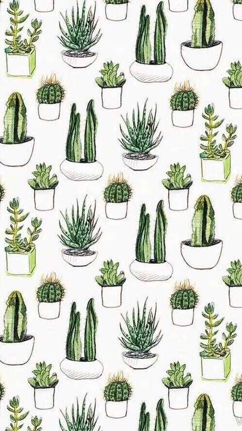Drawing Tumblr Plants Cactus Succulents iPhone Wallpaper Background Lockscreen Photos
