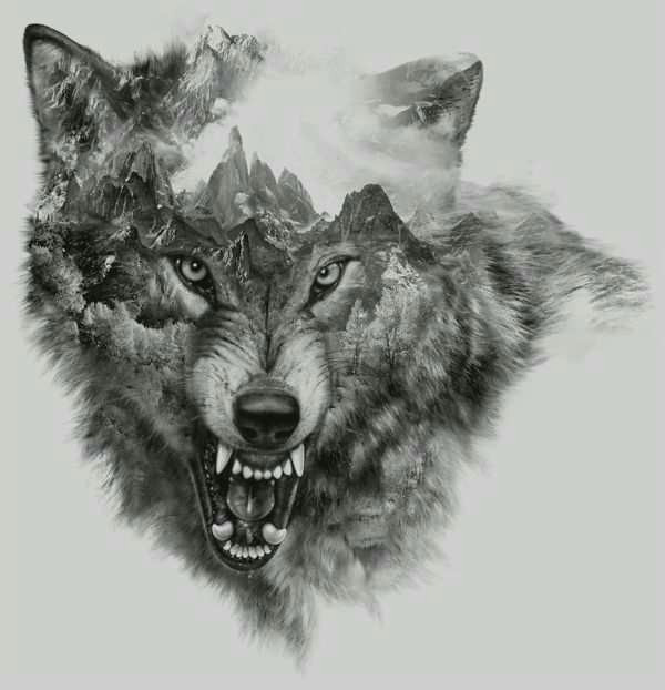 Drawing Tumblr Wolf Frisches Wolf Tattoo Vorlagen Kostenlos Stile Magazin