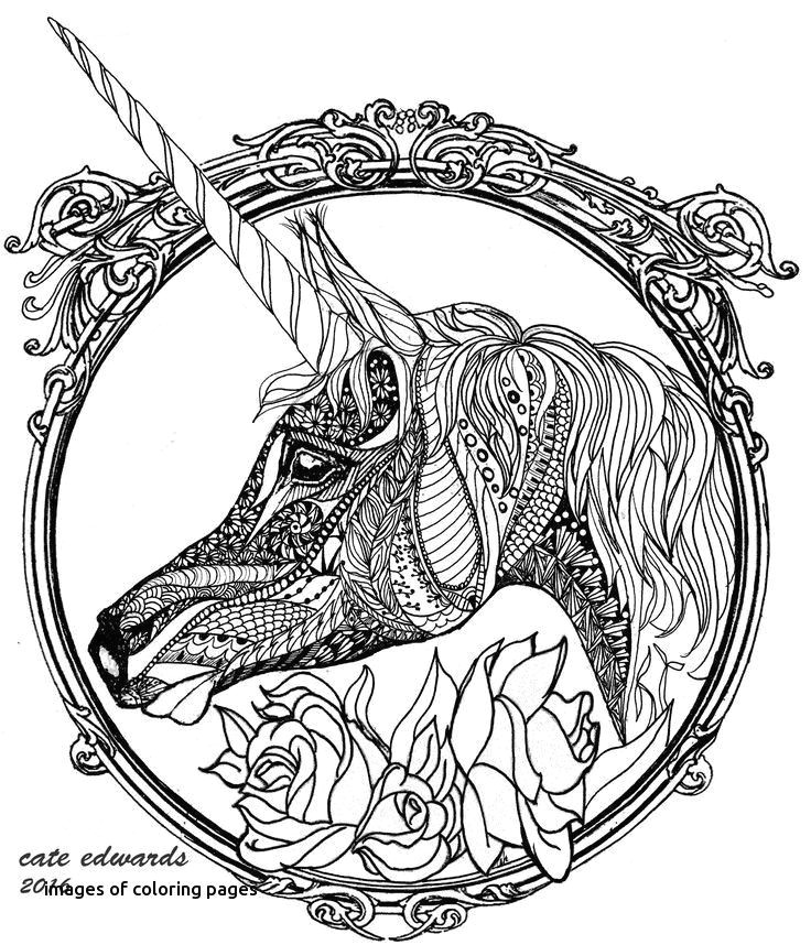 Drawing Twisted Wolf Wolf Coloring Pages for Adults Elegant Wolf Coloring Pages New Wolf