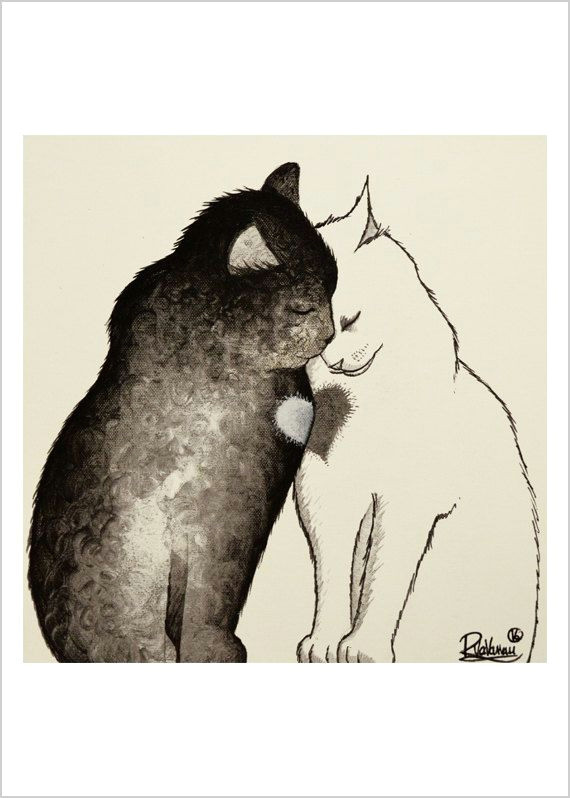 Drawing Two Heart Two Cats One Heart In 2018 Katzentierchen Pinterest Cats Cat