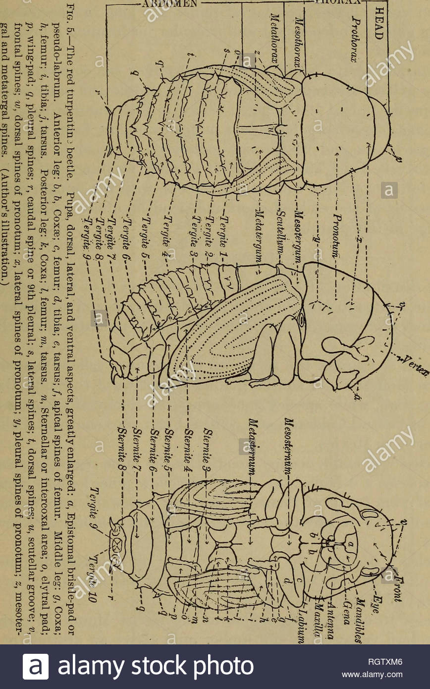 Drawing U.o.s 3 03 Stockfotos 3 03 Bilder Seite 22 Alamy