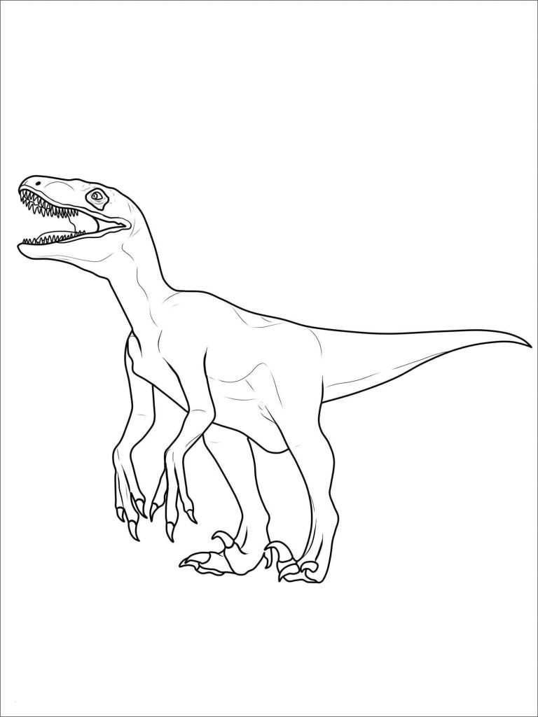 Drawing V Rex Tyrannosaurus Rex Ausmalbild A Legant Photos T Rex Ausmalbilder Bild