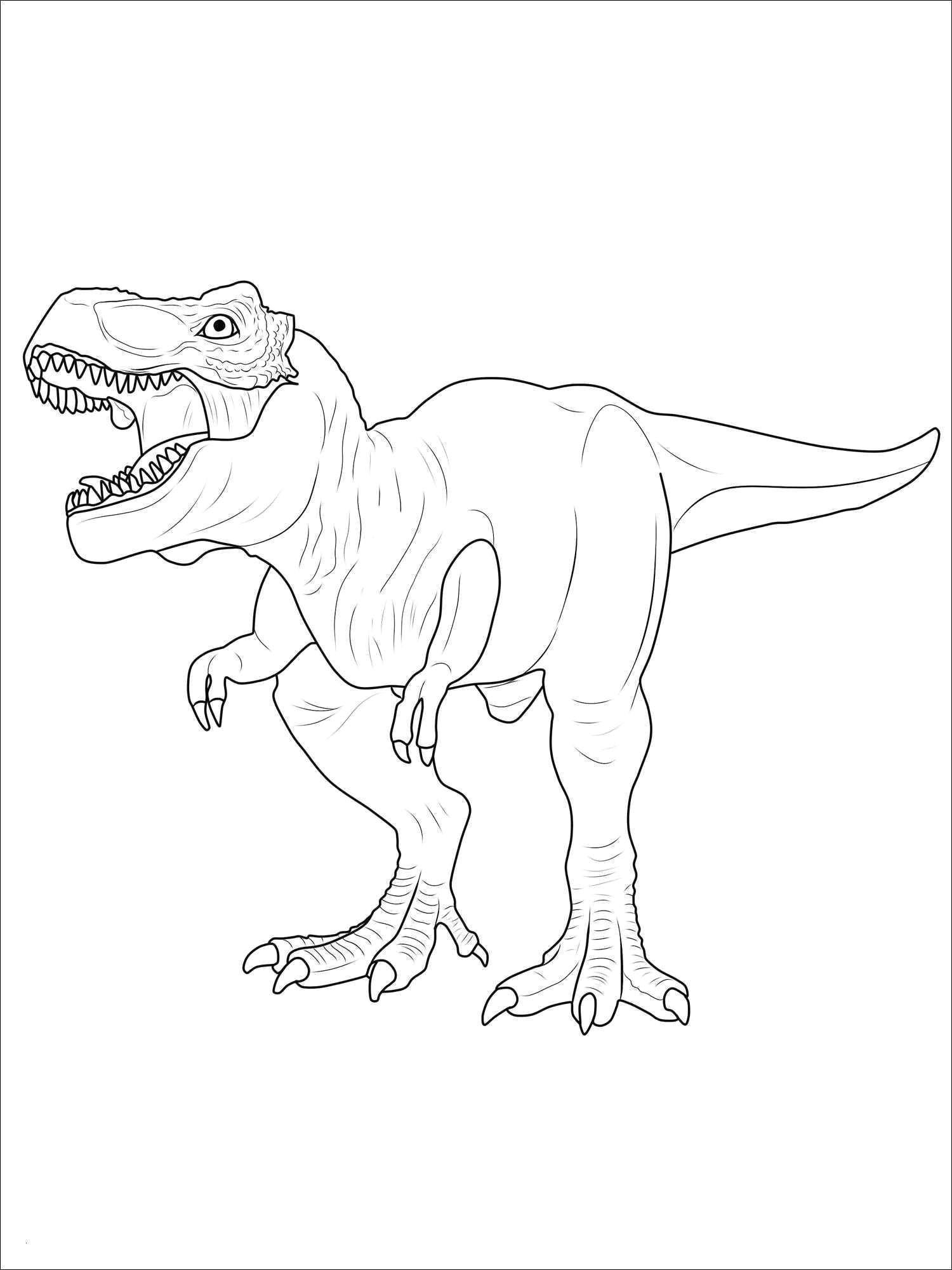 Drawing V Rex Tyrannosaurus Rex Ausmalbild Impressionnant Photos Malvorlagen