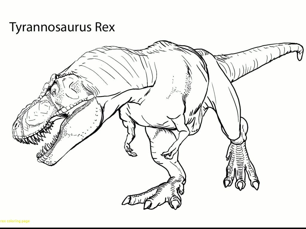 Drawing V Rex Tyrannosaurus Rex Ausmalbild Impressionnant Photos Malvorlagen