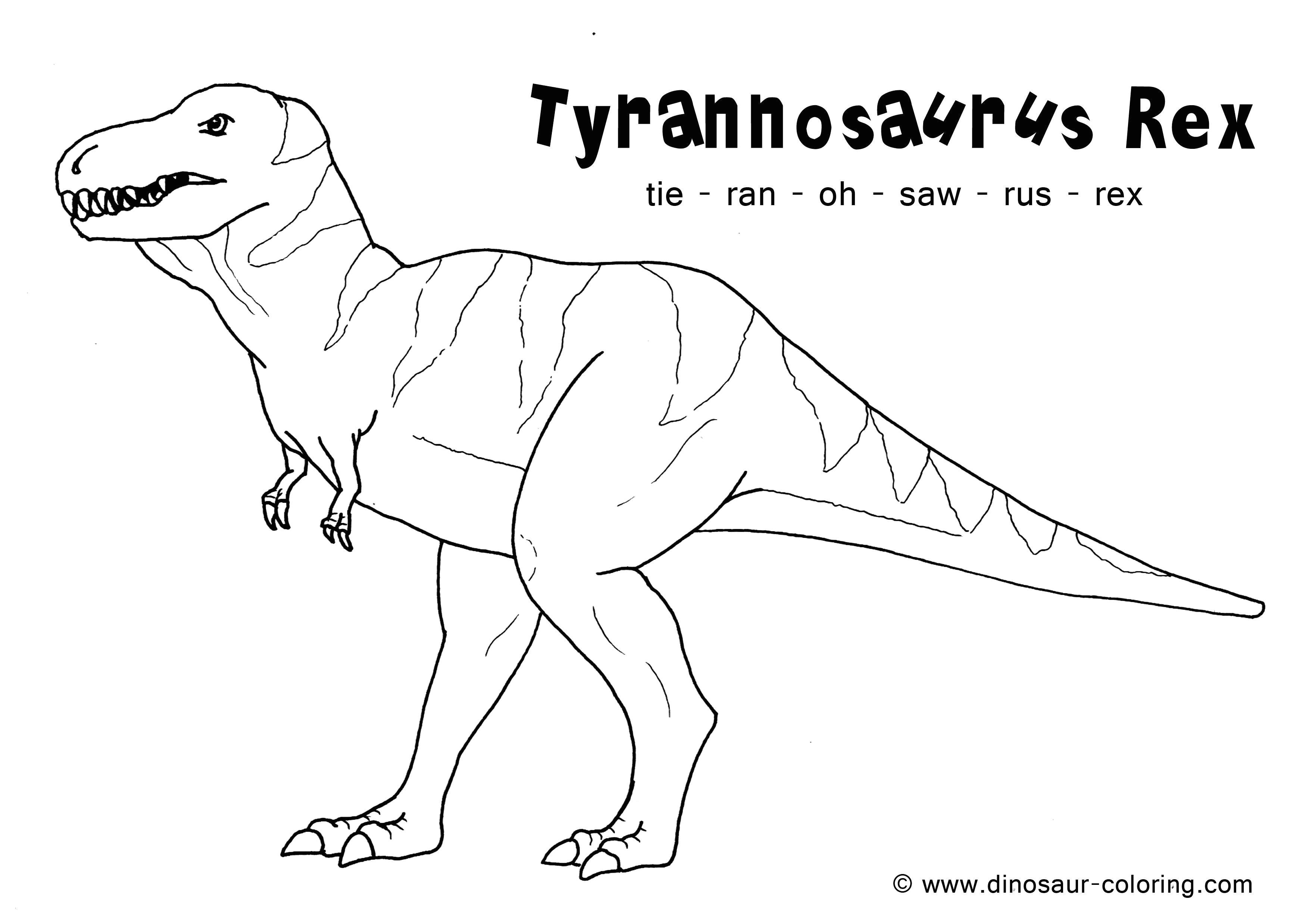 Drawing V Rex Tyrannosaurus Rex Ausmalbild Impressionnant Photos Malvorlagen
