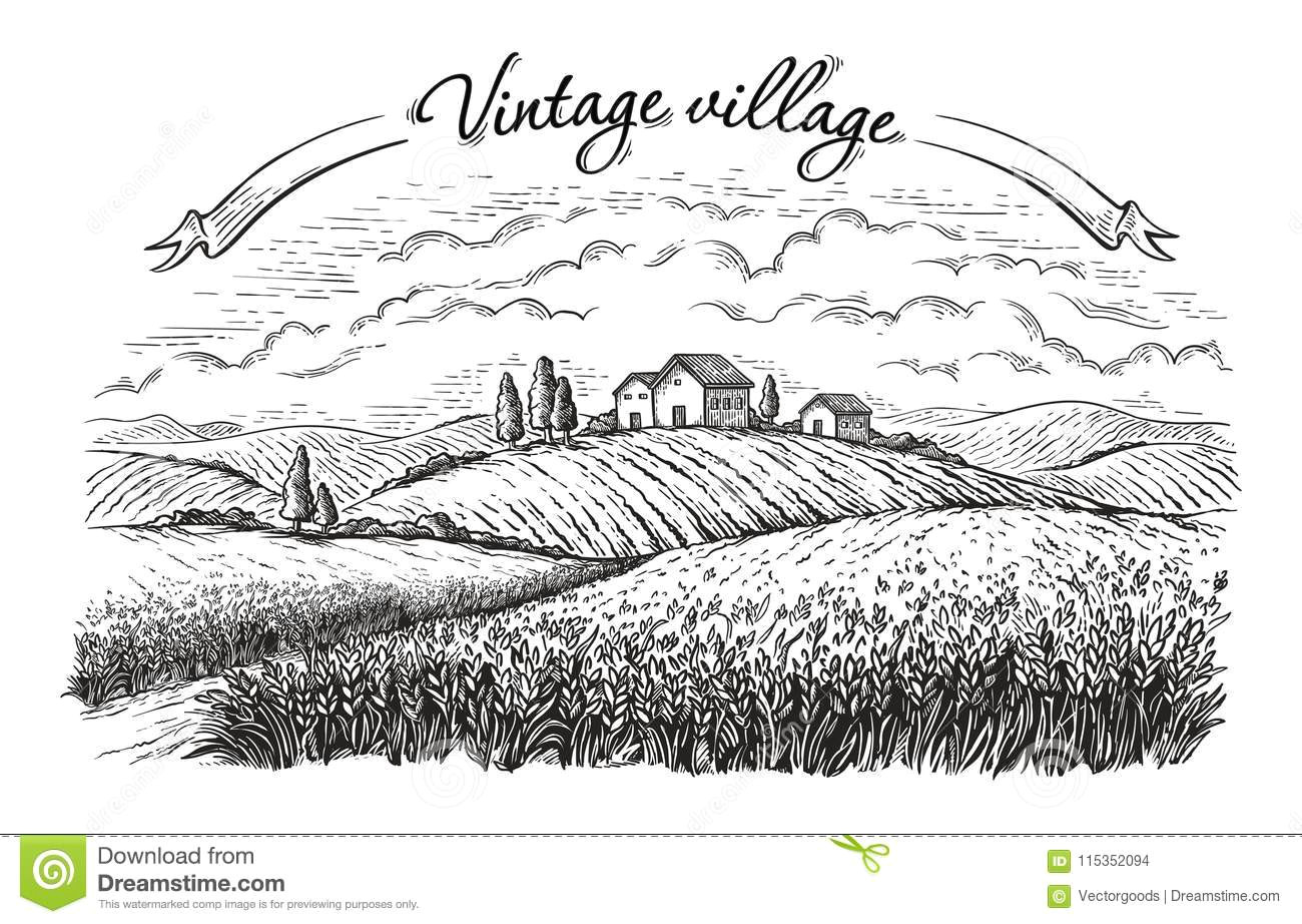 Drawing Vector Fields Rural Landscape In Graphical Style Stock Vector Illustration Of