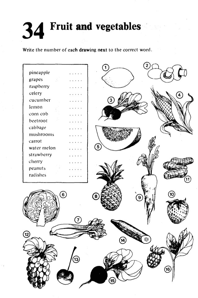 Drawing Vocabulary Test Your Vocabulary 1 Penguin English