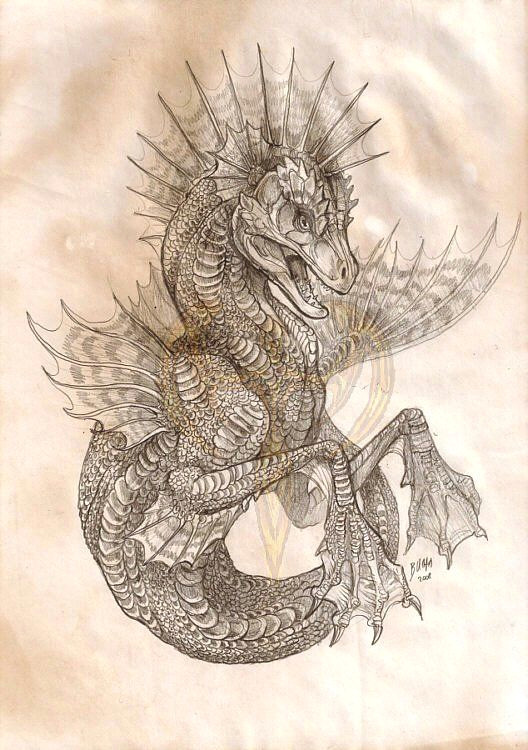 Drawing Water Dragons Dragon Horse Water Serpent Thing Rose Pinterest Dragons