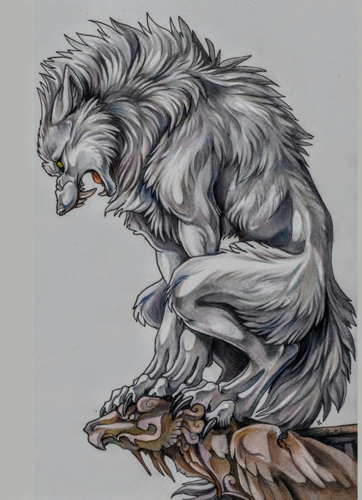 Drawing Were Wolf Pin by Werewolf Animation Studios On Werewolves Pinterest Lobos