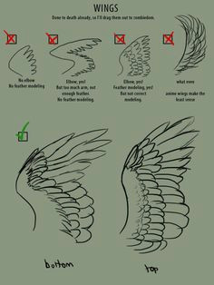 Drawing Wings Tumblr 260 Best How to Draw Wings Images In 2019 Sketches Drawings