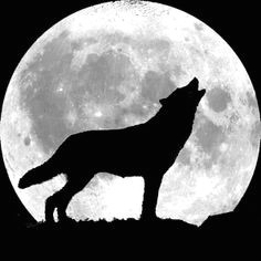 Drawing Wolf and Moon 202 Best Wolf and Moon Images Beautiful Moon Moonlight Backgrounds