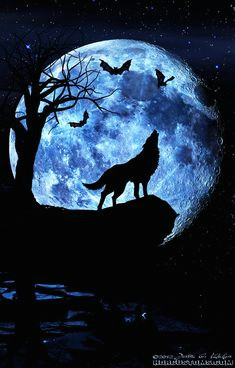 Drawing Wolf and Moon 269 Best Wolves Images In 2019 Wolf Pictures Drawings Wolves Art
