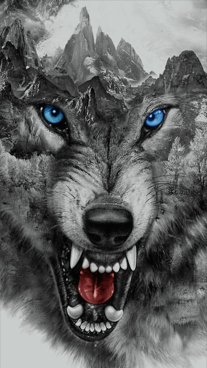 Drawing Wolf Backgrounds Download Angry Wolf Wallpaper by Georgekev now Browse Millions Of