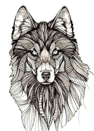 Drawing Wolf Color Resultado De Imagem Para Geometrics Draw Color Drawings