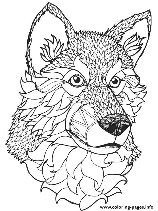 Drawing Wolf Color Wolf Coloring Pages Printable Beautiful Printable Wolf Color Page