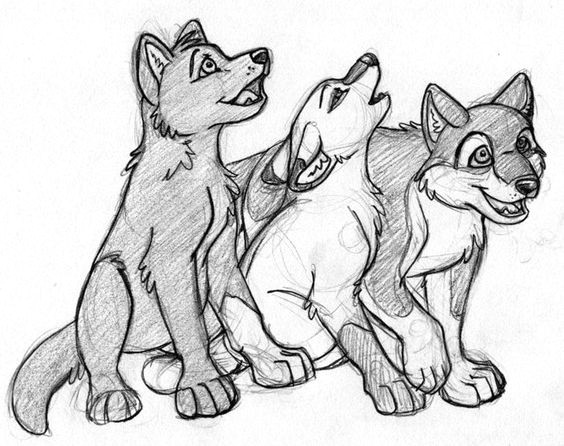 Drawing Wolf Cubs Amy Collacchi Amycollacchi On Pinterest