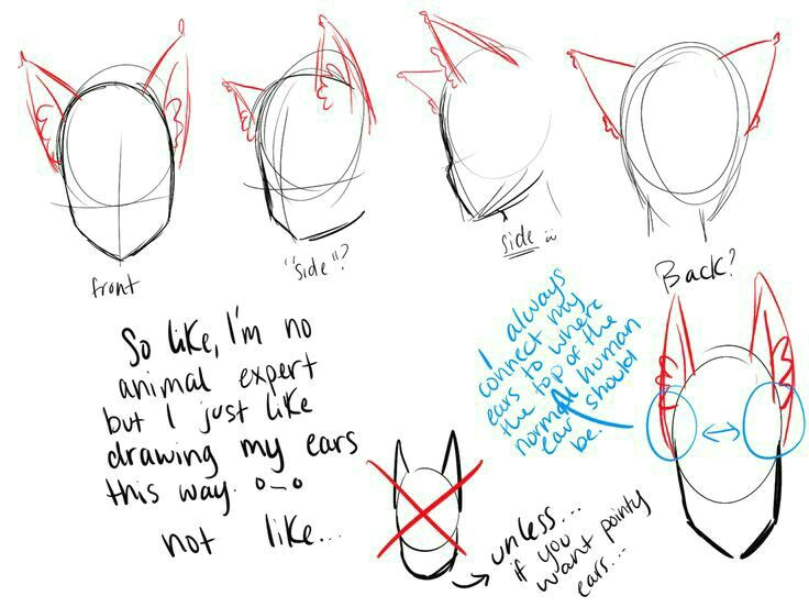 Drawing Wolf Ears Cat Ears Neko Text How to Draw Manga Anime How to Draw Manga