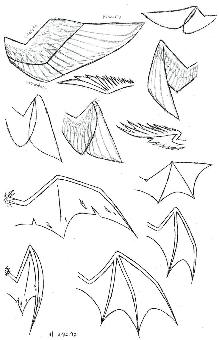 Drawing Wolf Ears How to Draw Anime Wolf Ears and Tail Google Search Wings In 2019