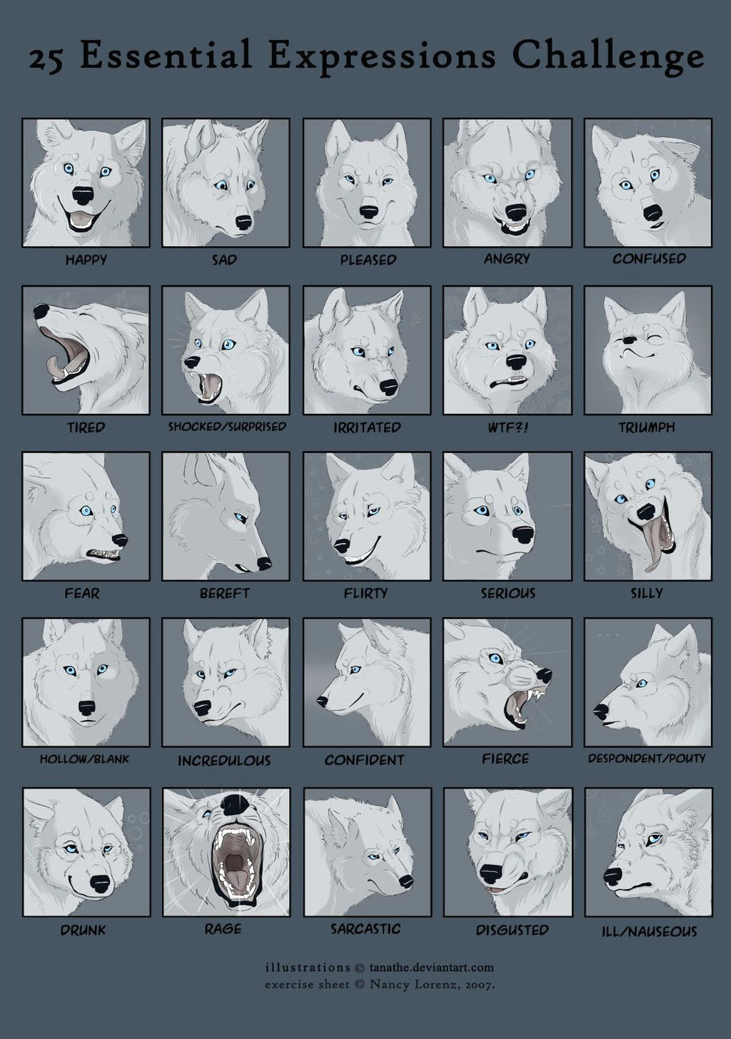 Drawing Wolf Face Step Step 25expressions Challenge Wolf by Tanathe Deviantart Com On