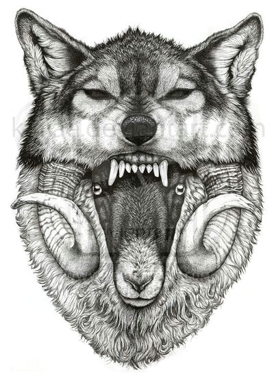 Drawing Wolf Fur Wolf In Sheep Skin Tats 3 Tattoos Art Wolf Tattoos