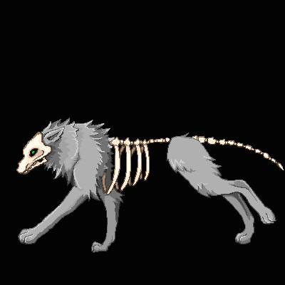 Drawing Wolf Gif Wolf Gif On Gifer by Keron