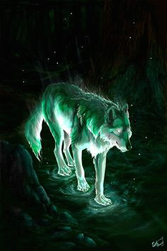 Drawing Wolf Hurt 107 Best Wolves Images Fantasy Wolf Anime Animals Wolf Drawings