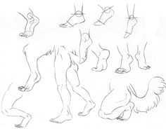 Drawing Wolf Legs 34 Best Furry Anthro Tutorials Images Drawing Tutorials Drawing