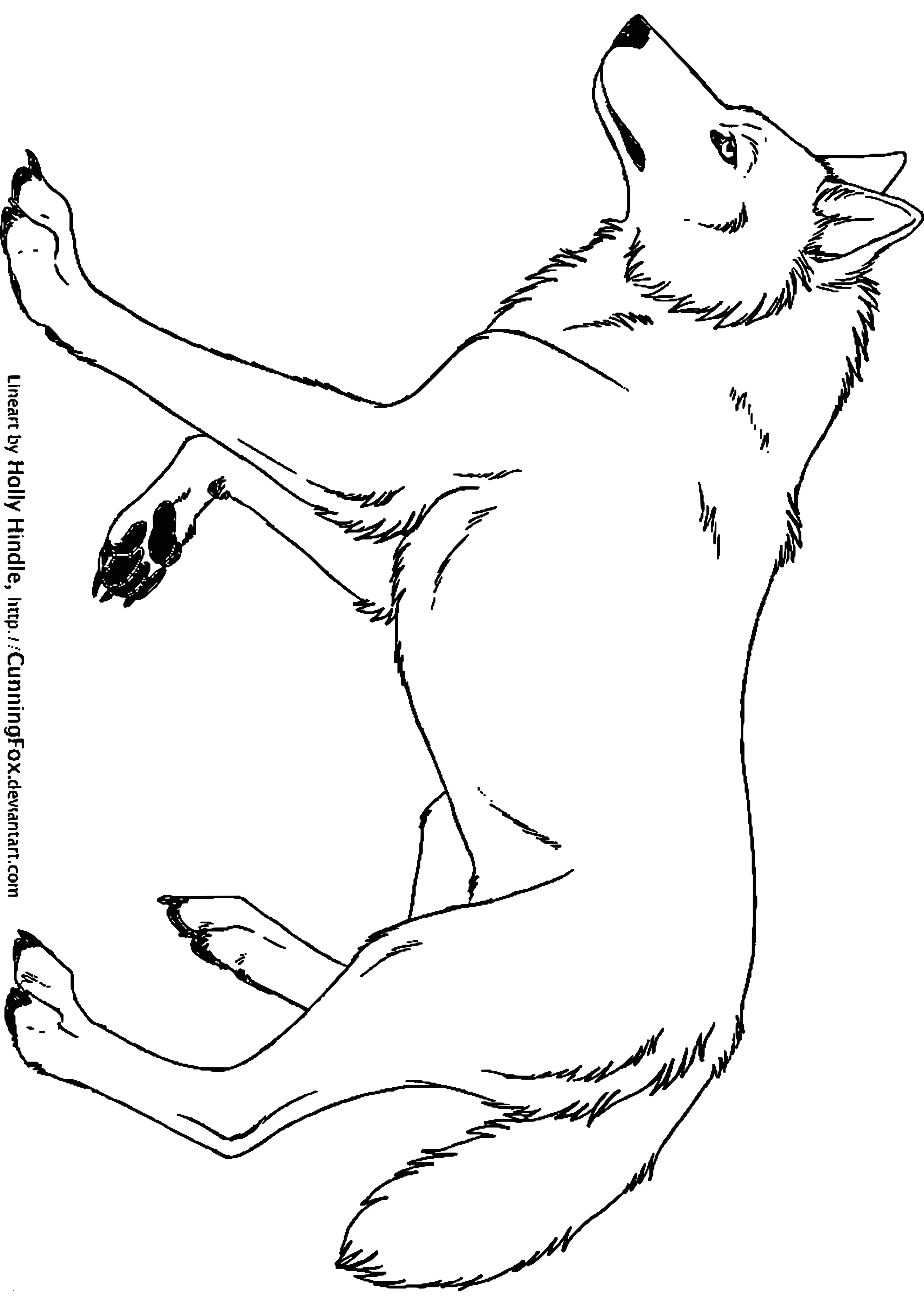 Drawing Wolf Line Art Wolf Zeichnungen Zum Ausmalen Meilleur De Galerie Audi Ausmalbilder